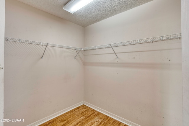 walk in closet featuring hardwood / wood-style floors