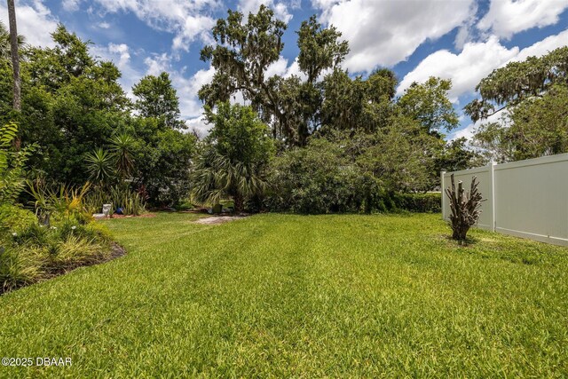 2953 Wild Pecan Ct, Port Orange, FL 32129 - view of yard