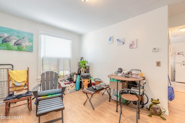 interior space featuring light hardwood / wood-style floors