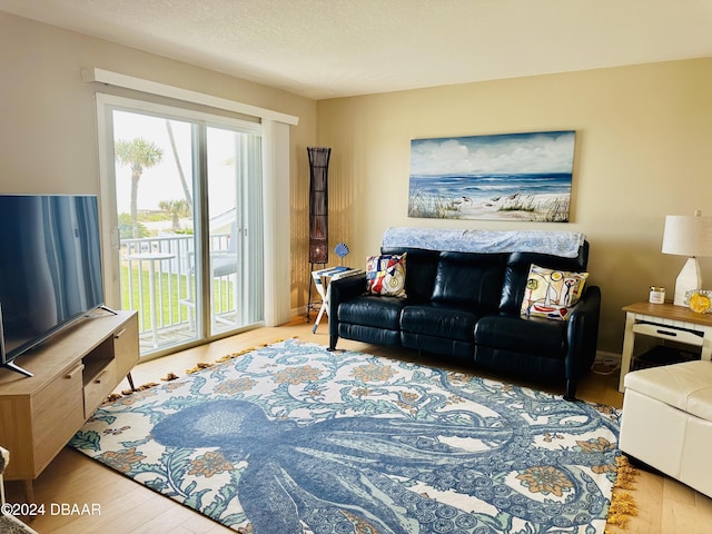 living room featuring light hardwood / wood-style floors