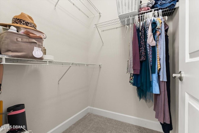 walk in closet with carpet