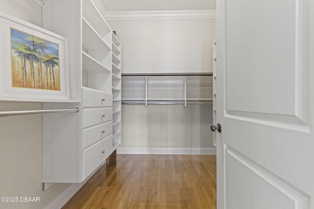 4210 S Peninsula Dr, Port Orange, FL 32127 - spacious closet featuring wood finished floors