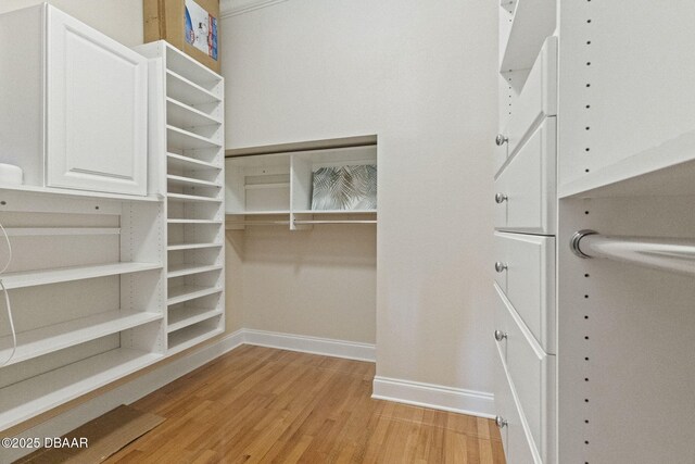 4210 S Peninsula Dr, Port Orange, FL 32127 - walk in closet with light wood-style flooring