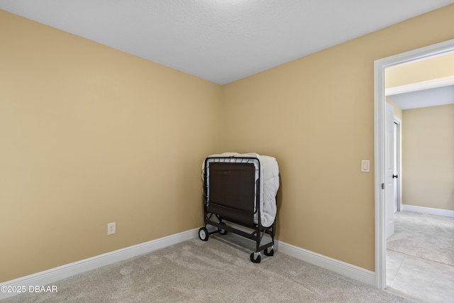 interior space with light colored carpet