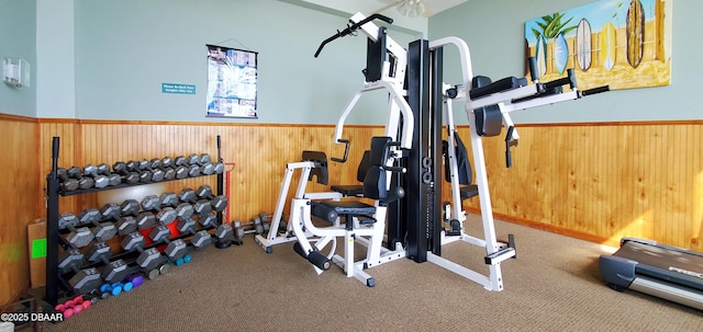 exercise area with wainscoting, wood walls, and carpet flooring