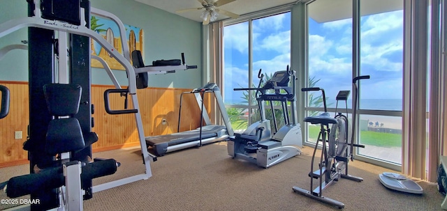 exercise room with a ceiling fan, a wainscoted wall, wood walls, and expansive windows