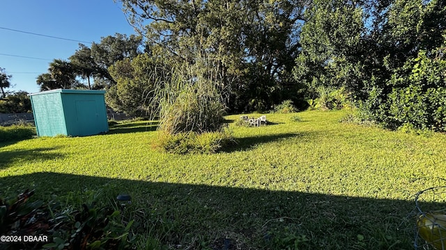 view of yard with a storage shed