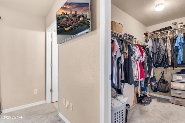 walk in closet with carpet floors