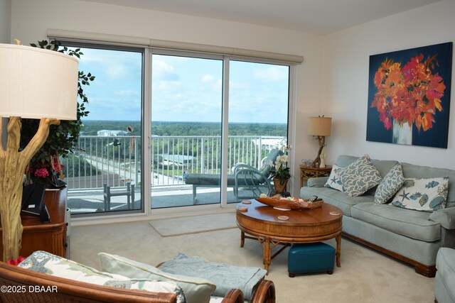 view of carpeted living area
