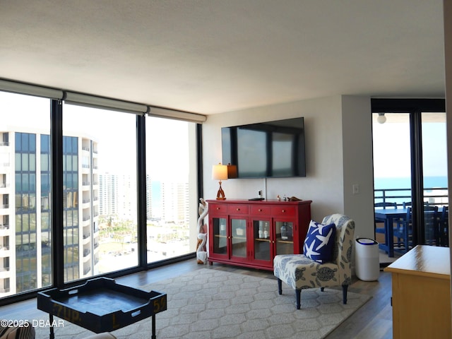 living area with floor to ceiling windows, a wealth of natural light, and wood finished floors