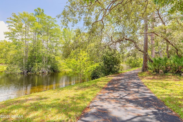 68 Cypress Pond Rd, Port Orange, FL 32128 - photo 31