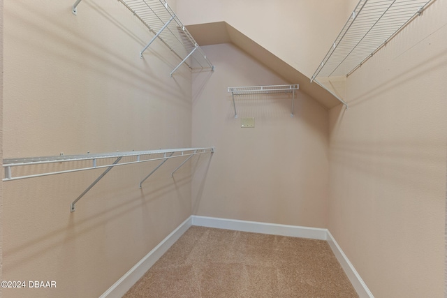 walk in closet featuring carpet floors