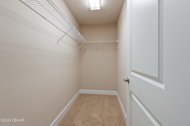 walk in closet featuring light carpet