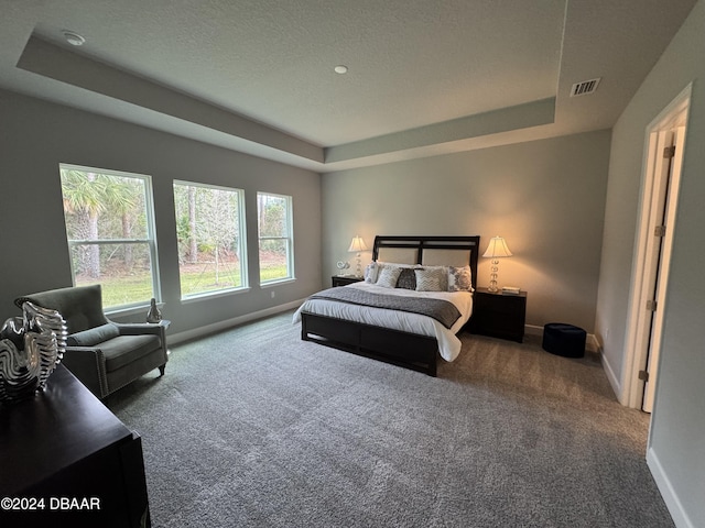 bedroom with a raised ceiling and carpet floors