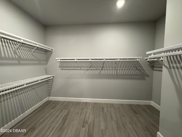 walk in closet featuring dark hardwood / wood-style floors