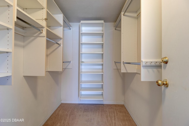 walk in closet featuring carpet flooring