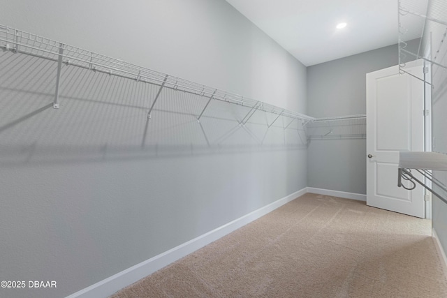 walk in closet featuring carpet floors