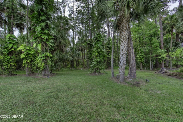 142 Sea Pines Cir, Daytona Beach, FL 32114 - photo 55
