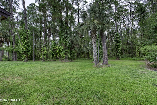 142 Sea Pines Cir, Daytona Beach, FL 32114 - photo 54