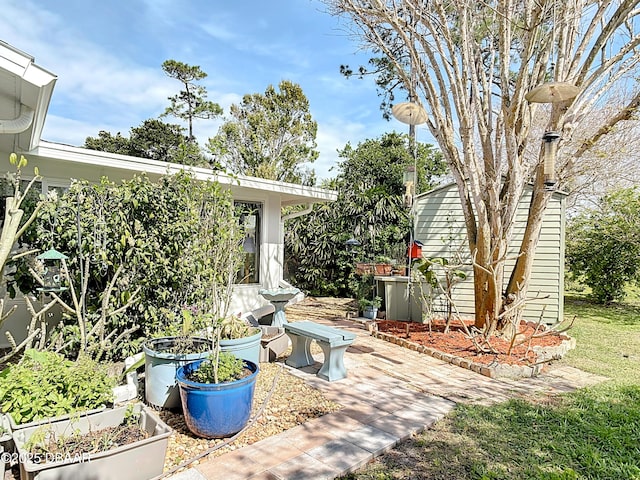 view of yard with a vegetable garden