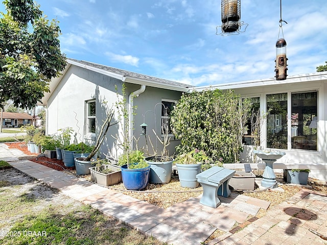 rear view of property with a shingled roof and stucco siding