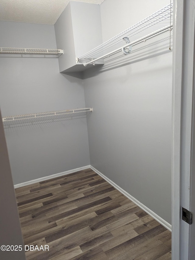 717 S Beach St Unit 102C, Daytona Beach, FL 32114 - spacious closet featuring dark wood-style floors