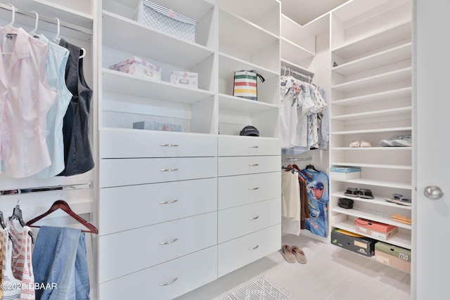 view of walk in closet