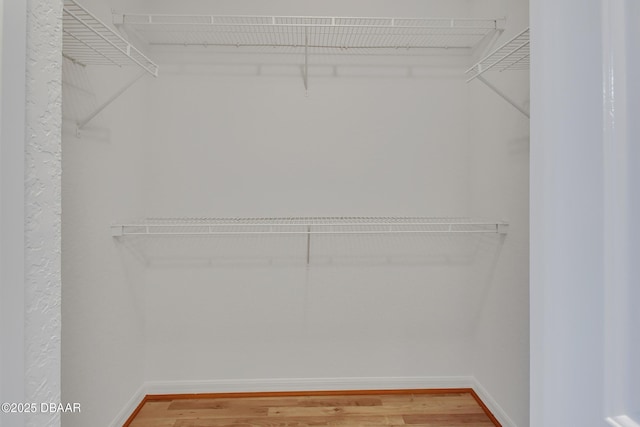 spacious closet featuring light wood-style flooring