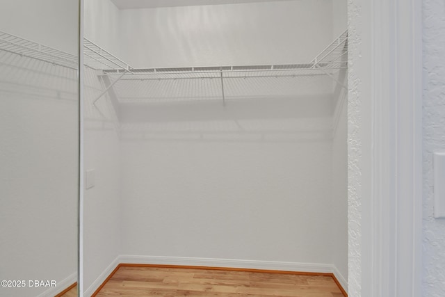 spacious closet with light wood-style floors