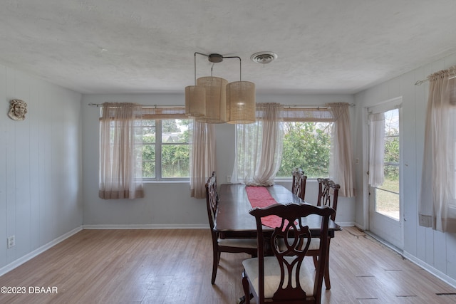 dining room with a textured ceiling and light hardwood / wood-style flooring