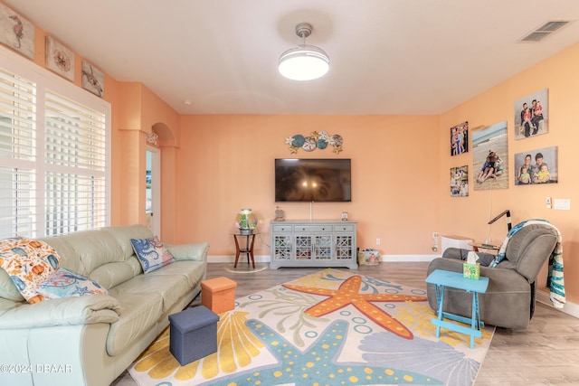 living room featuring hardwood / wood-style flooring