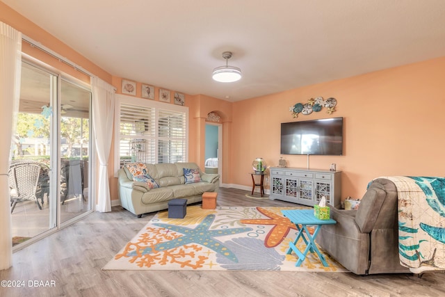 living room with hardwood / wood-style floors