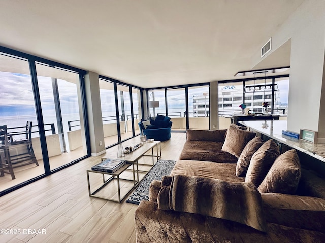 living room with light hardwood / wood-style floors