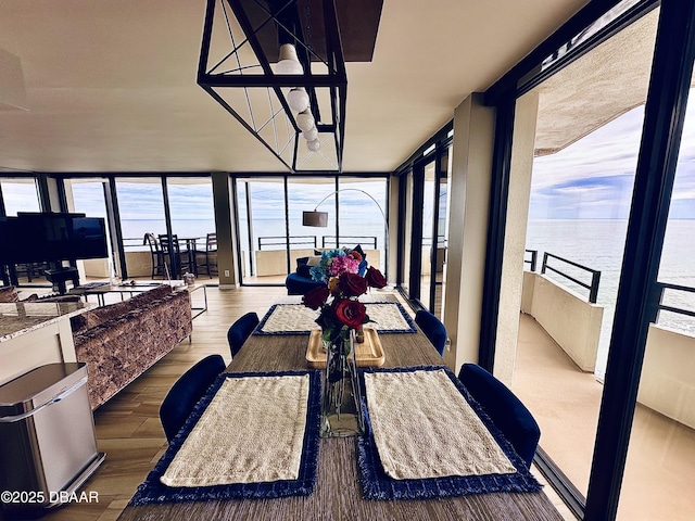 dining room featuring a water view, a healthy amount of sunlight, and dark wood-type flooring