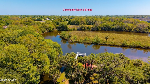 aerial view featuring a wooded view and a water view