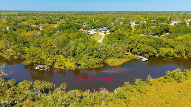 aerial view featuring a water view and a view of trees