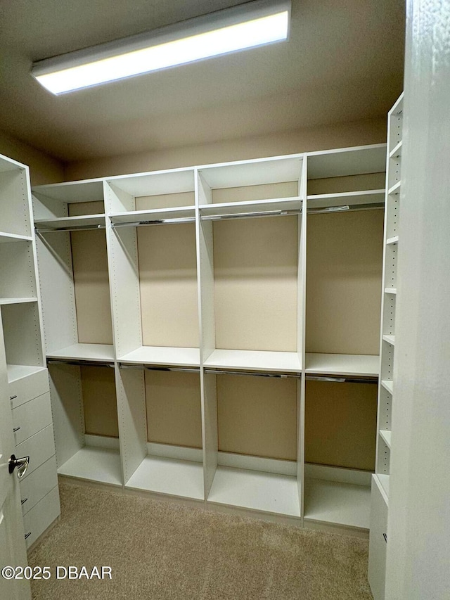 spacious closet with light carpet