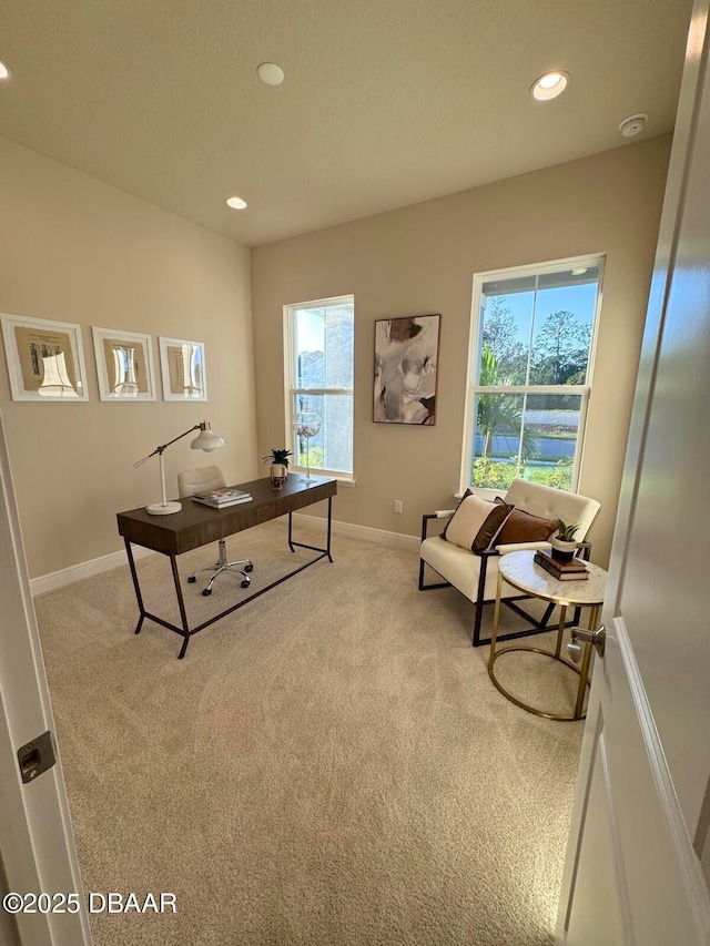 office featuring light colored carpet