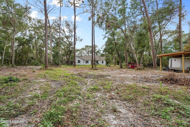 view of yard featuring a storage shed