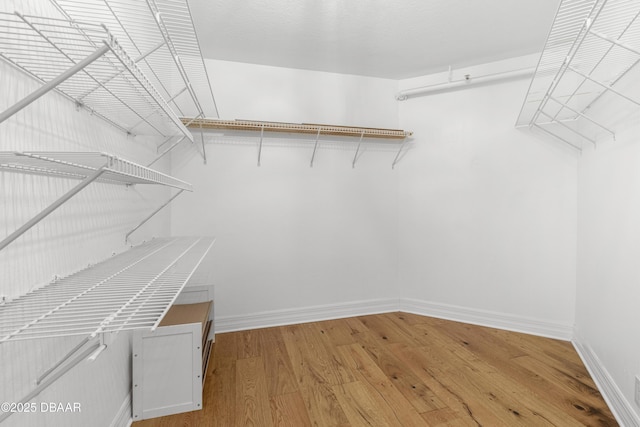 walk in closet with wood finished floors