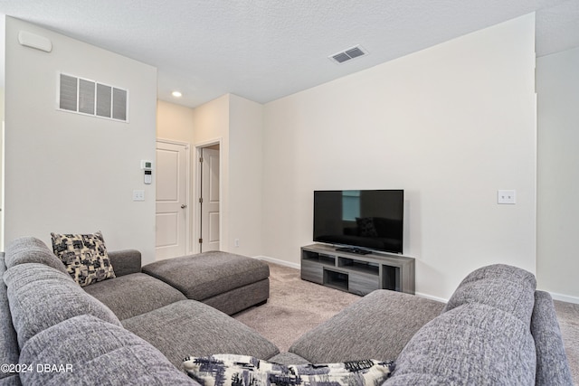 carpeted living room with a textured ceiling