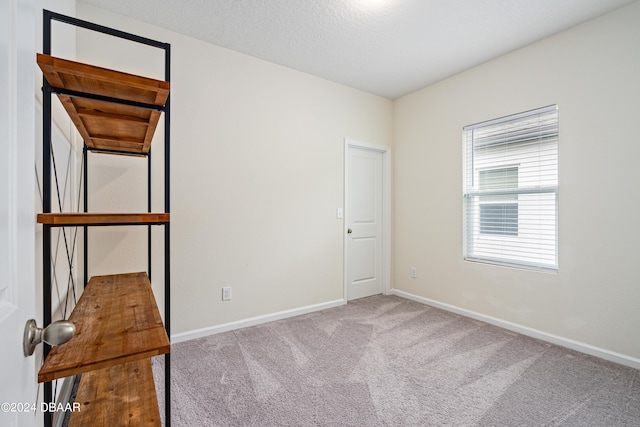 unfurnished room with a textured ceiling and light colored carpet