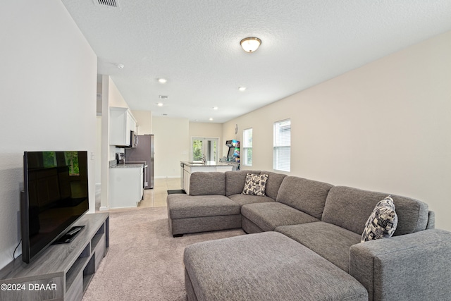 living room with a textured ceiling and light carpet