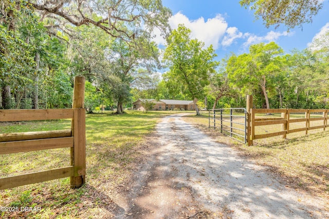 view of road with a gate, driveway, and a rural view