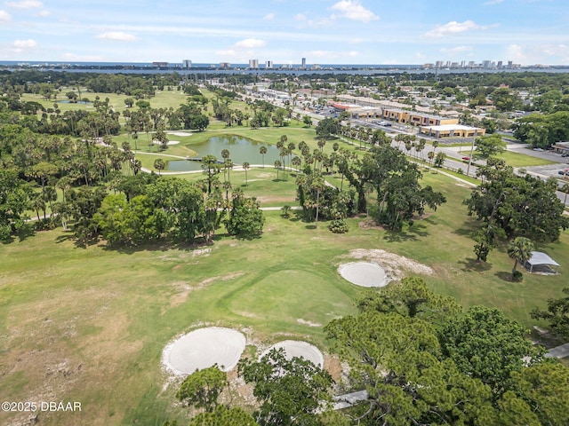 1420 Golfview Dr, Daytona Beach, FL 32114 - photo 54