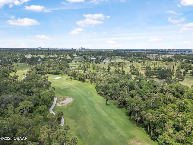 1420 Golfview Dr, Daytona Beach, FL 32114 - photo 55