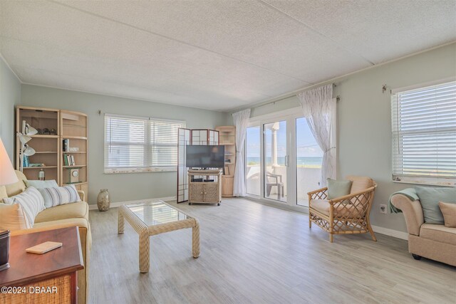 living room featuring light hardwood / wood-style floors, a textured ceiling, and a healthy amount of sunlight