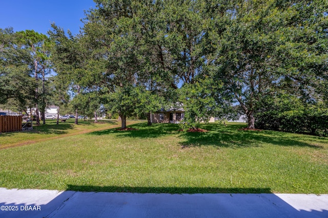 49 Felshire Ln, Palm Coast, FL 32137 - view of green lawn