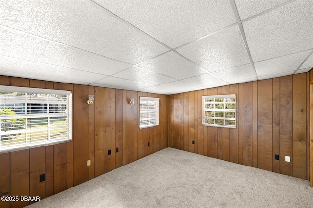 carpeted spare room featuring a healthy amount of sunlight, a paneled ceiling, and wood walls