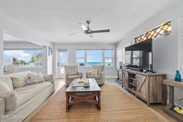 living room featuring light wood-type flooring, a textured ceiling, and plenty of natural light